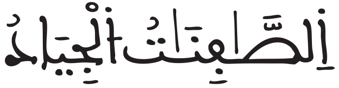 ص 30