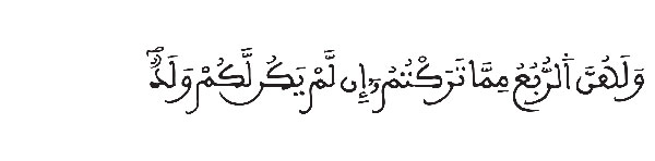 النساء 12