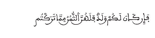 النساء 12