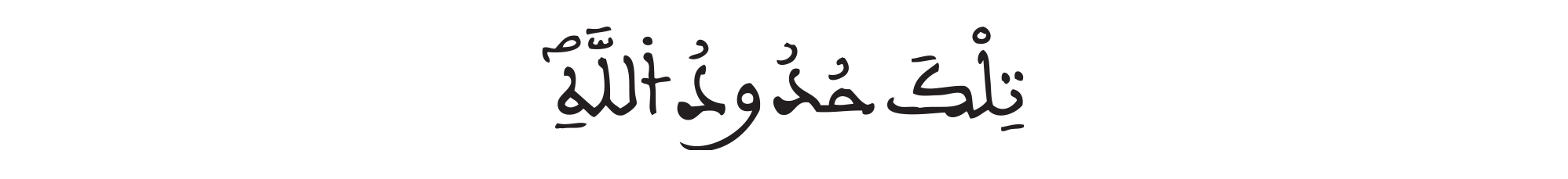 النساء الآية 13