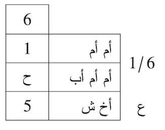 من توفي عن أم أمه، وأم أم أبيه مع أخ شقيق.