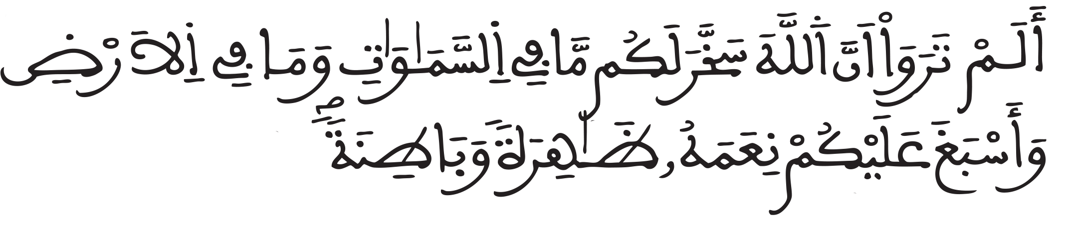 لقمان 19 