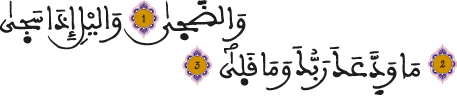 الضحى 1 3