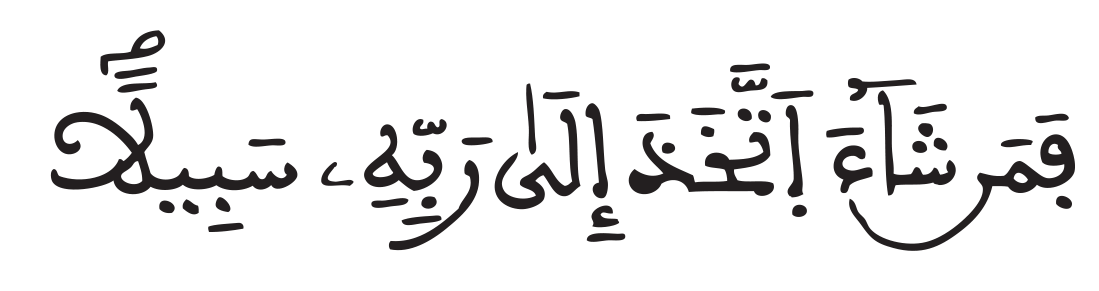 المزمل 17