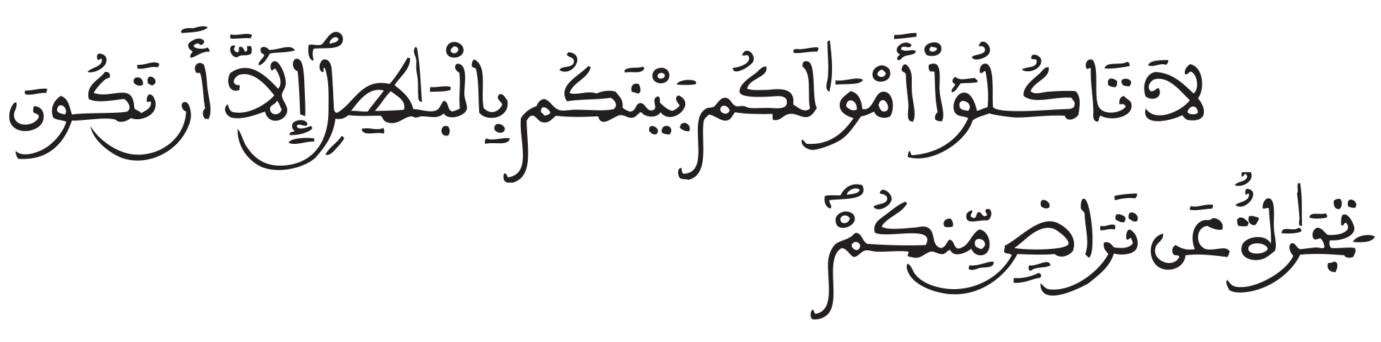 النساء 29