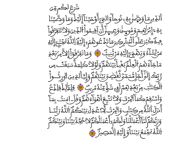 الشورى الآيات 11 إلى 13
