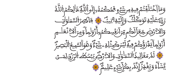 الشورى الآيات 8-10
