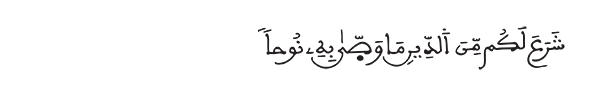 الشورى الآية 11