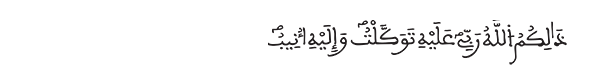 الشورى الآية 8 