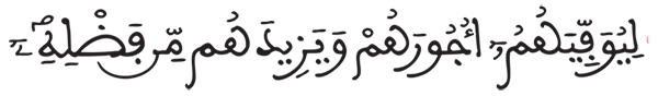 فاطر الآية 30