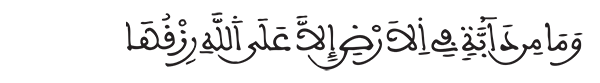 هود الآية 6