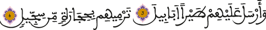 الفيل 3-4