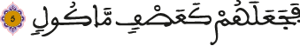 الفيل 5