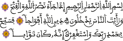 سورة النصر