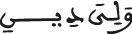 ولي دين