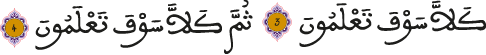 التكاثر 3-4