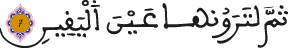 التكاثر 7