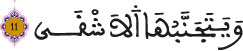 al aala aya 11
