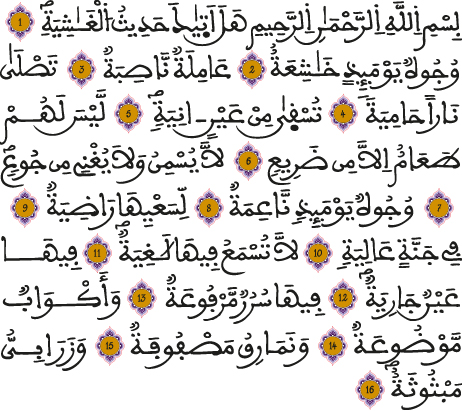 alghachia 1 16