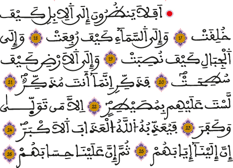 alghachia 17 26