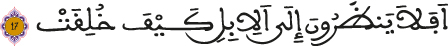 alghachia aya 17