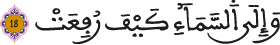 alghachiya aya 18