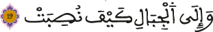 alghachiya aya 19