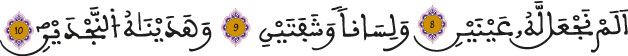 البلد الآيات 8 إلى 10