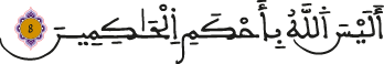 التين الآية 8