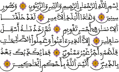 سورة التين
