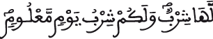 سورة الشعراء بعض من الآية 155