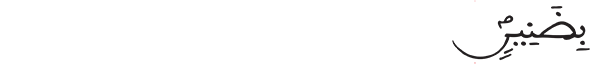 بضنين 9