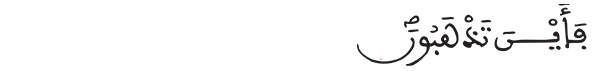 فأين تذهبون