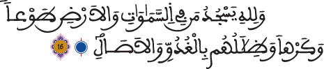 الرعد 16