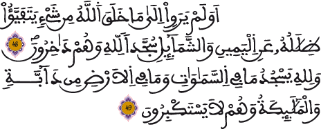 النحل 48-49