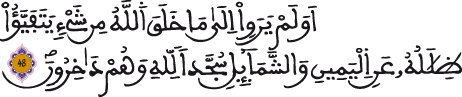 النحل 48