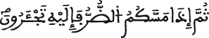 النحل جزء من الآية 53