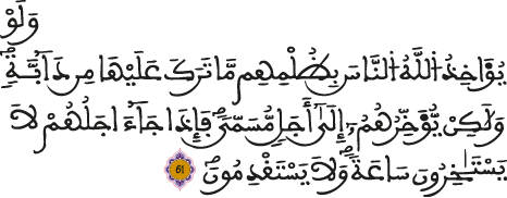 النحل 61 النحل 61