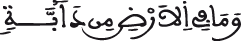 وما في الأرض من دابة