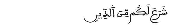 الشورى الآية 11 