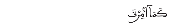 كما أمرت