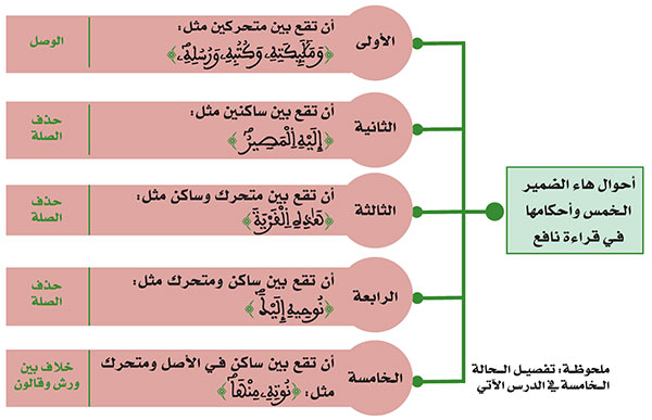  أحوال هاء الضمير الـخمس وأحكامها فـي قراءة نافع