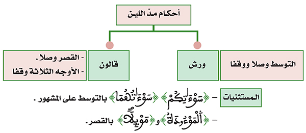خطاطة تلخص أحكام مد اللين المتعلقة بهذا الدرس والذي قبله خطاطة تلخص أحكام مد اللين المتعلقة بهذا الدرس والذي قبله