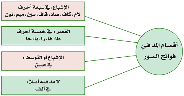 رسم توضيحي يبيّن أقسام فواتح السور وحكمها من حيث المد وعدمه