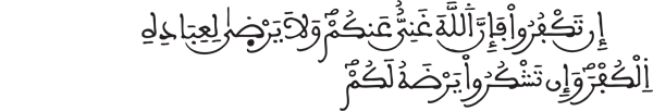 [ الزمر:8]