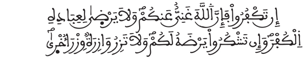 [ الزمر:8]