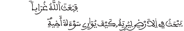 [المائدة:33]