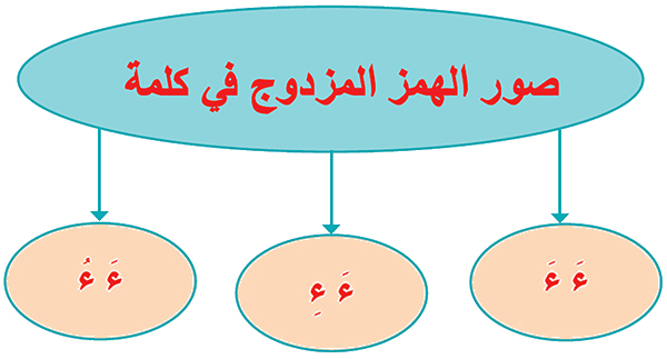 صور الهمز المزدوج في كلمة