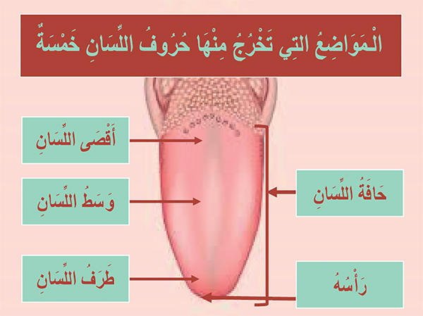 مواضع خروج حروف اللسان مواضع خروج حروف اللسان