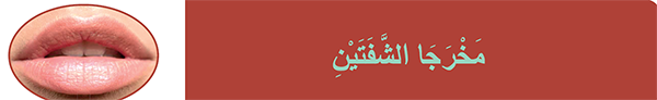 مَخْرَجَا الشَّفَتَيْنِ